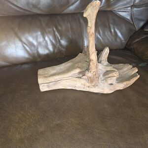Natural Driftwood Art Sculpture